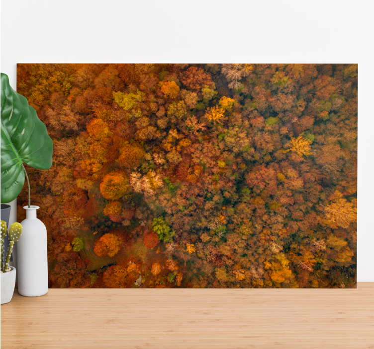 Tree canvas wall art autumn forest canopy - TenStickers