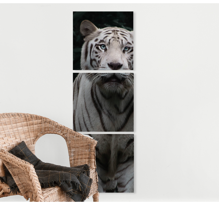 White tiger animal canvas prints - TenStickers