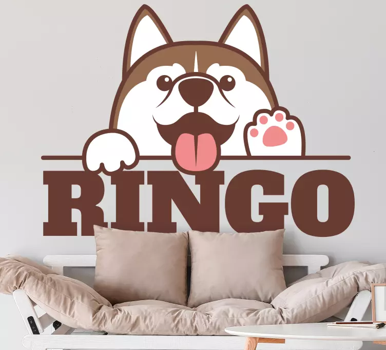 Amazing dog peeking cat decal - TenStickers