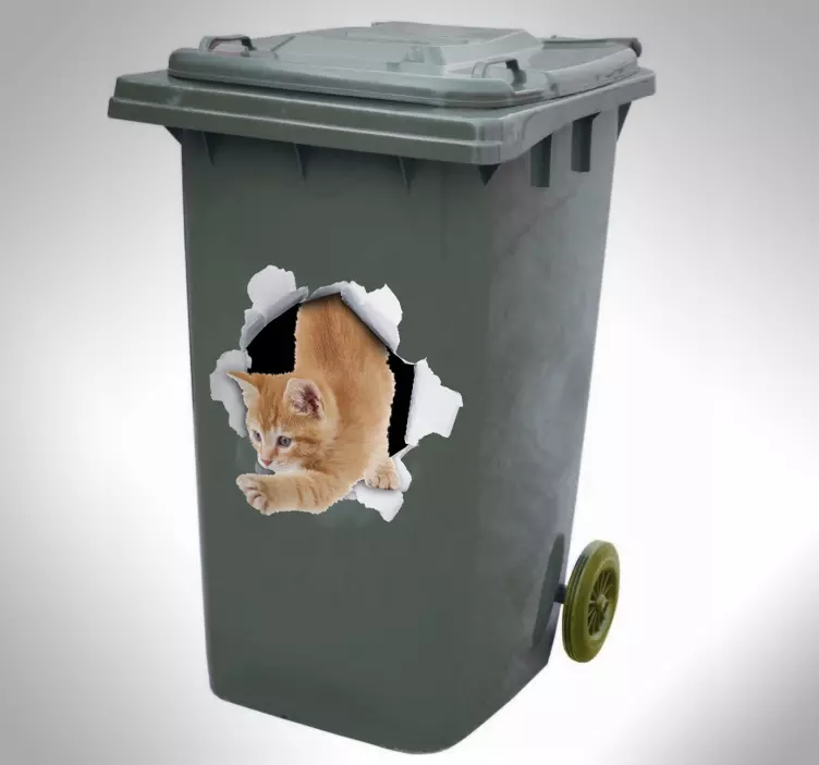 cat trompe l'oeil container decal - TenStickers