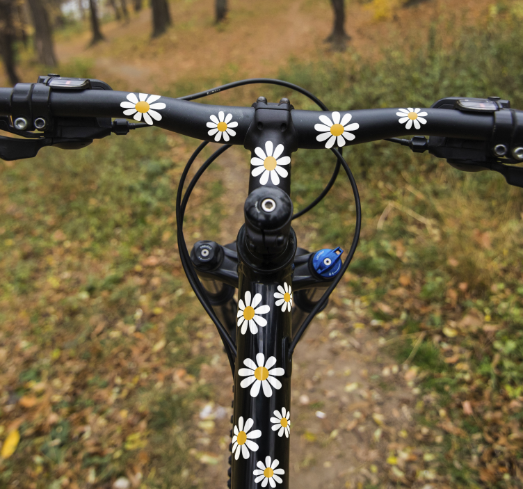 Daisies bike flowers bike sticker - TenStickers