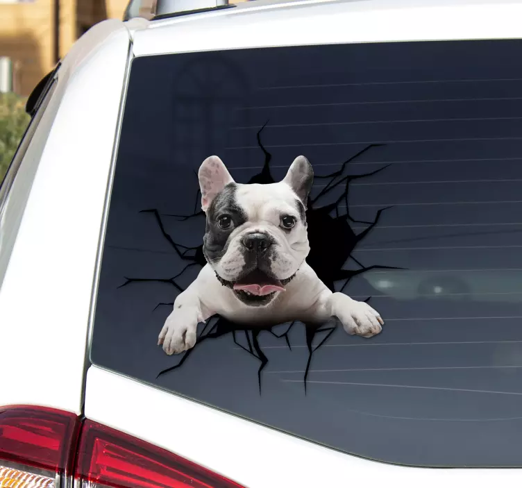 Dog breaking from glass car vinyl sticker - TenStickers