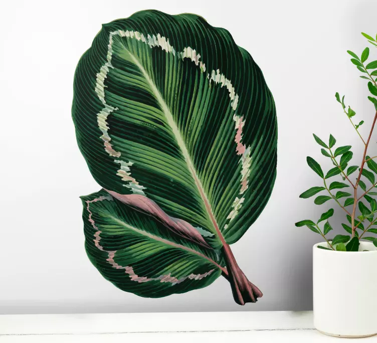 Maranta plant flower wall sticker - TenStickers