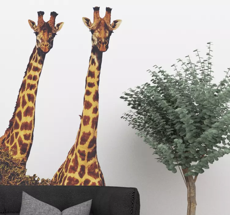 Realistic Giraffes Wild Animal Decal - TenStickers