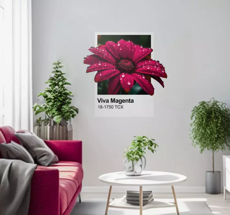 Live Magenta Color wall sticker - TenStickers
