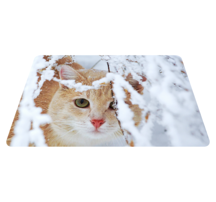 Animal vinyl rug featuring cat with stalactite - TenStickers