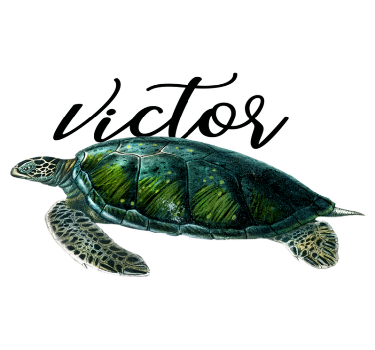 Animal vinyl rug customizable turtle design - TenStickers