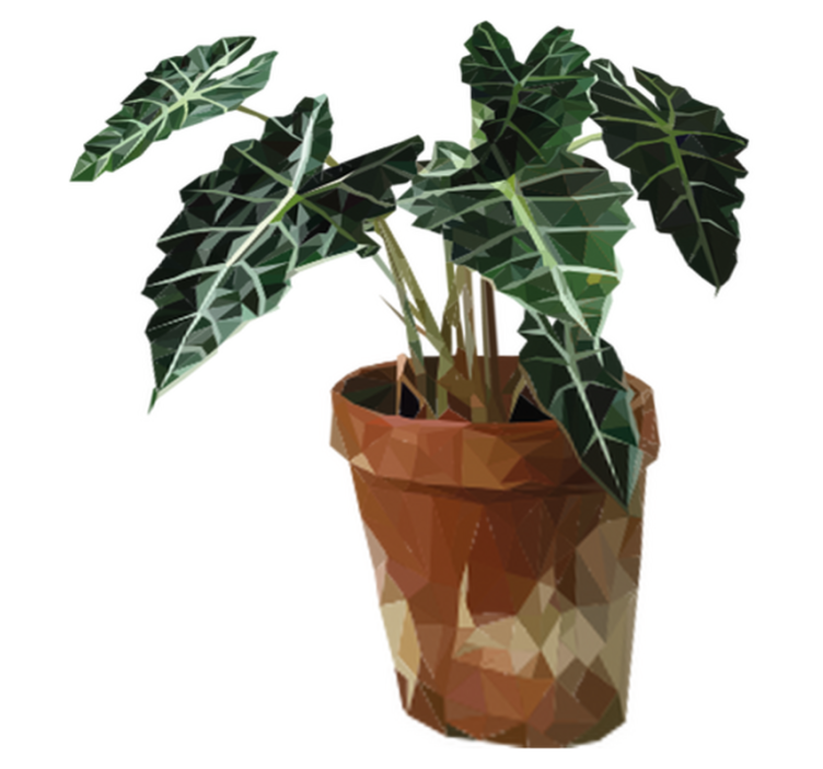 Flower vinyl rug geometric plant pot - TenStickers