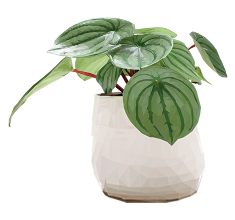 Flower vinyl rug for easy indoor greenery - TenStickers