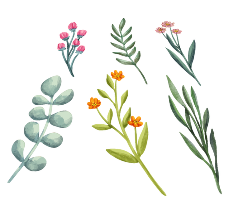 Flower vinyl rug with plant branches design - TenStickers