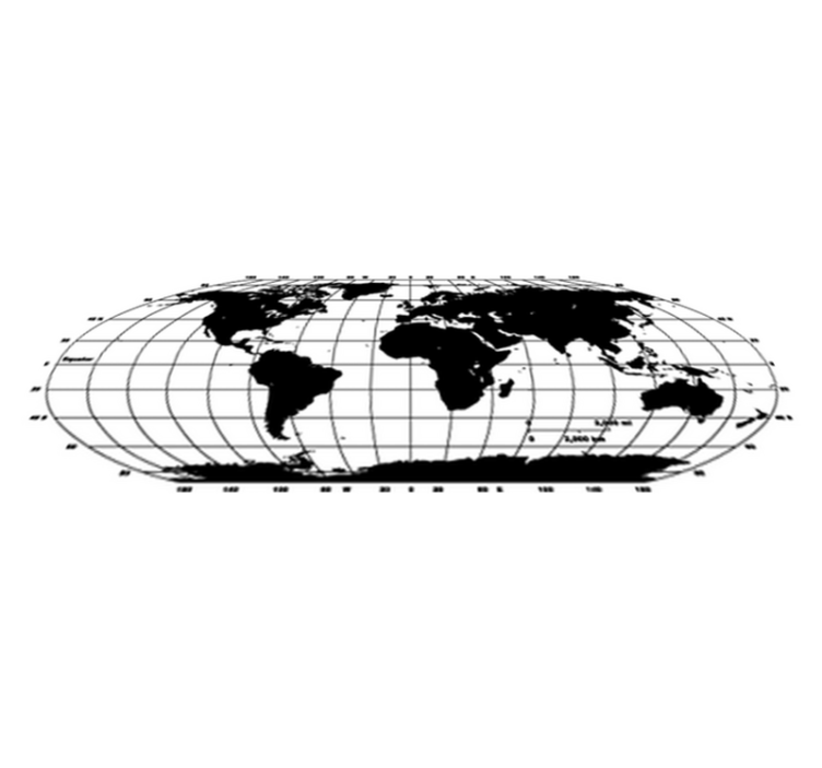 World map vinyl rug monochrome decorative vinyl - TenStickers