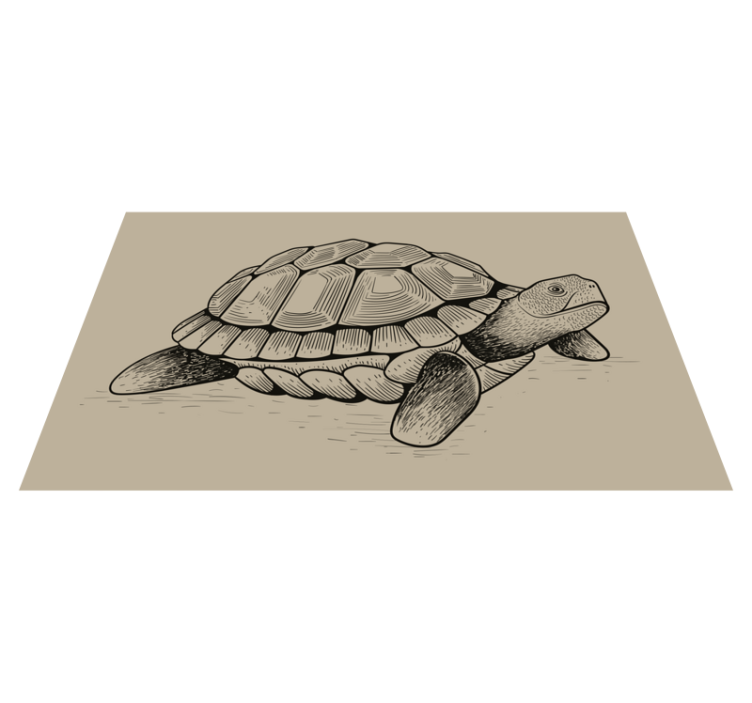Baby turtle baby play mat - TenStickers