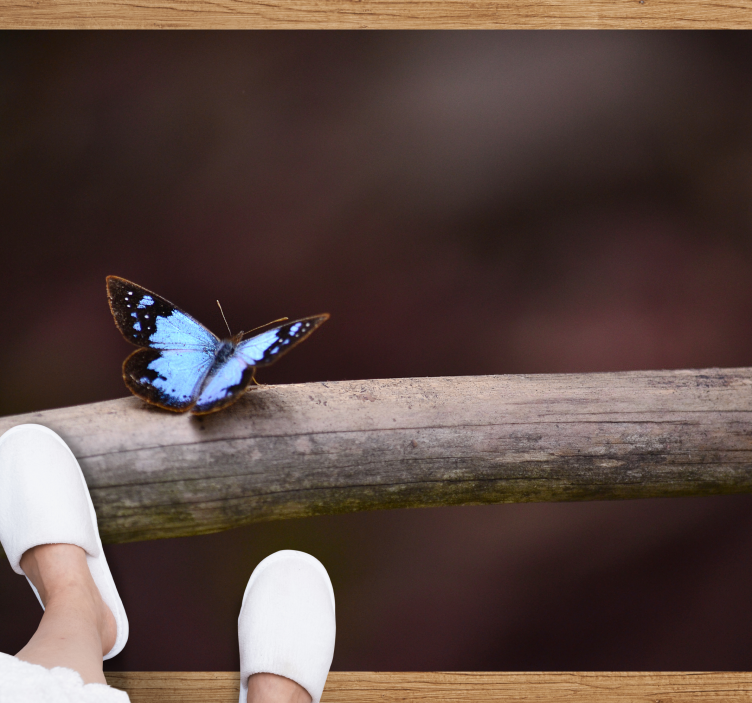 Animal blue butterfly animal rug - TenStickers