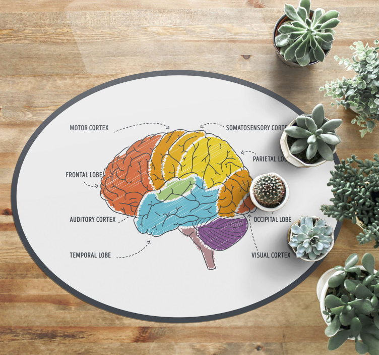 Parts of the Brain modern rug - TenStickers