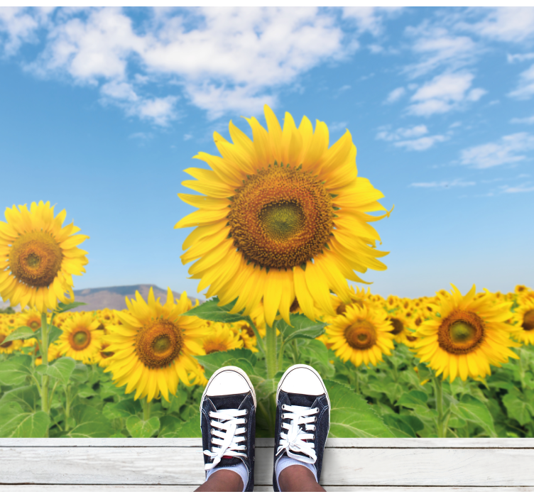 Sun flower field floral vinyl rug - TenStickers