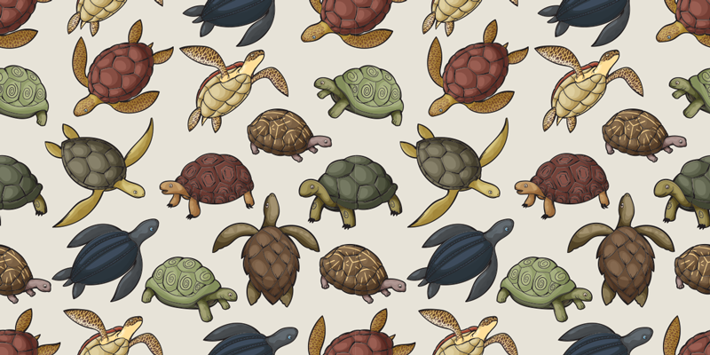 Animal vinyl rug with various turtles - TenStickers