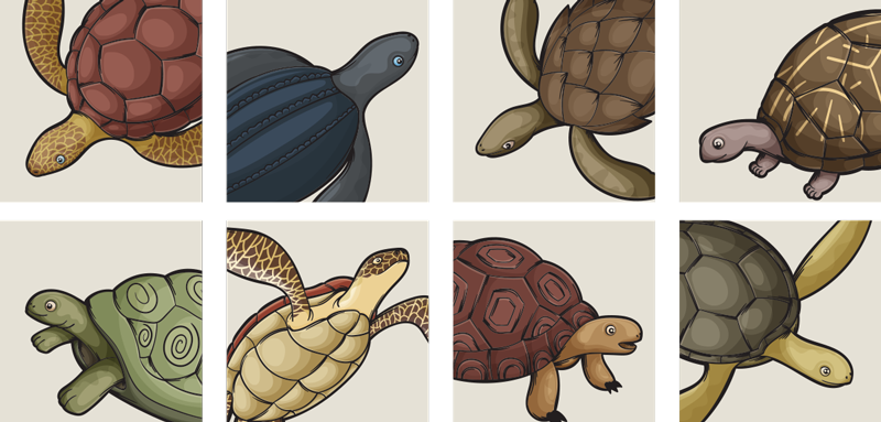 Animal vinyl rug with a variety of turtle designs - TenStickers