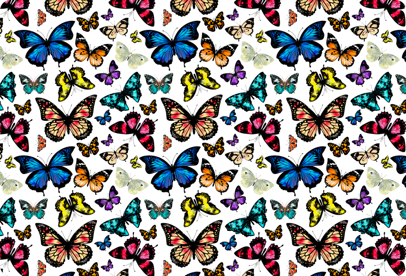 Beautiful and colorful butterflies animal vinyl rug - TenStickers