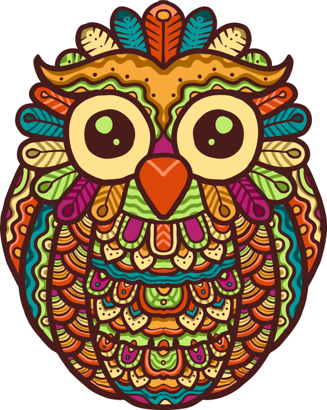 Animal vinyl rug with vibrant owl design - TenStickers