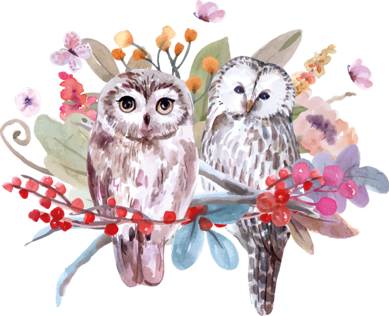 Owls in nature animal vinyl rug - TenStickers