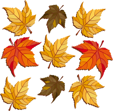 Autumn leaves flower vinyl rug - TenStickers