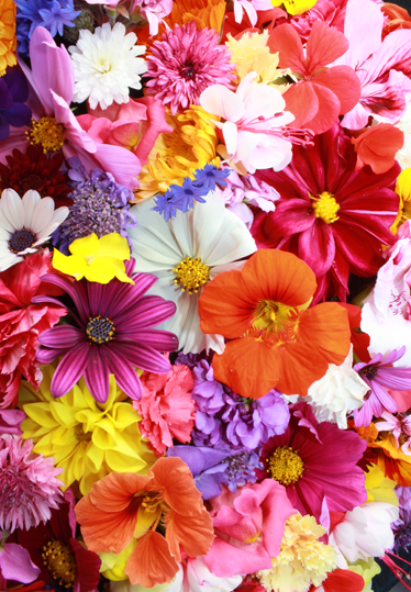 Flower vinyl rug abundant with colorful blooms - TenStickers