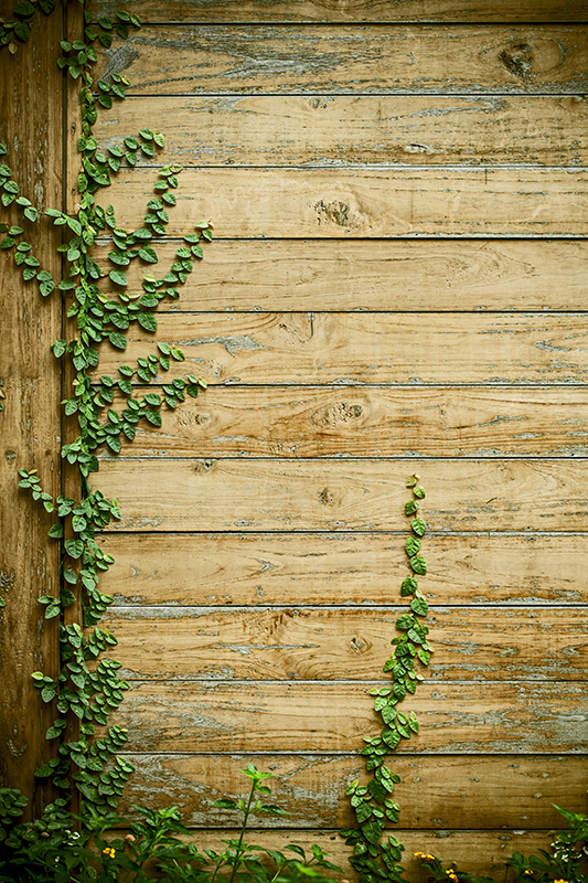 Flower vinyl rug with vines on wood design - TenStickers