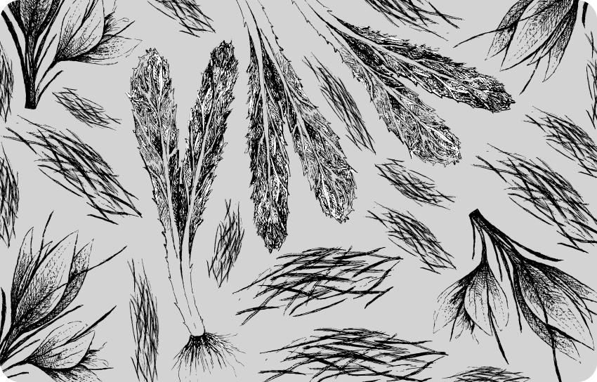 Flower vinyl rug dried grey pattern - TenStickers