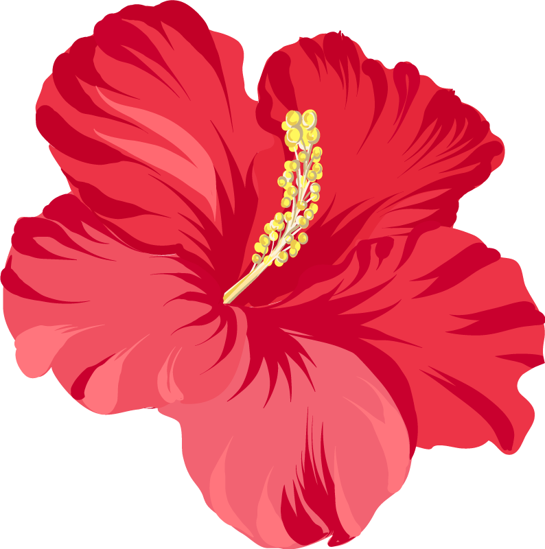 Flower vinyl rug red hibiscus flower kit - TenStickers
