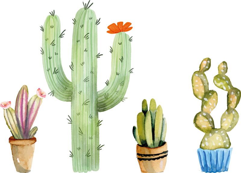 Dining room vinyl rug with assorted cacti design - TenStickers