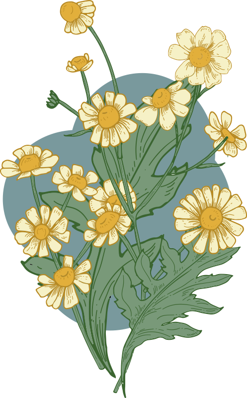 Vivid bloom composition flower vinyl rug - TenStickers