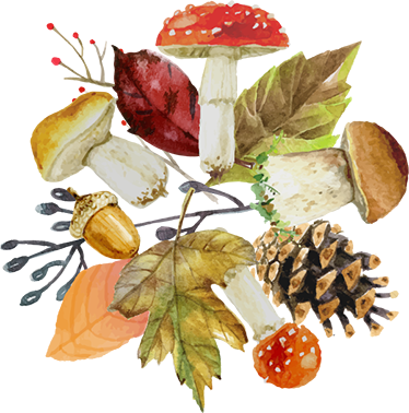 Nature vinyl rug with forest leaves and fruits - TenStickers