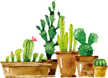 Flower vinyl rug homemade cactus garden - TenStickers