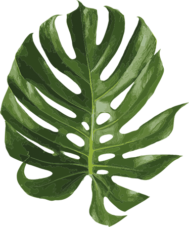 Flower vinyl rug with delicious monstera leaf - TenStickers