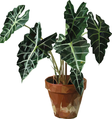 Flower vinyl rug geometric plant pot - TenStickers