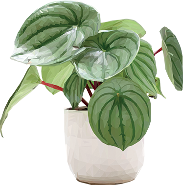 Flower vinyl rug for easy indoor greenery - TenStickers