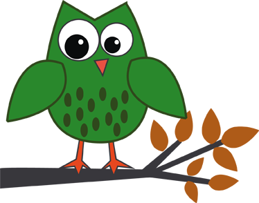 Kids vinyl rug green owl on a branch - TenStickers