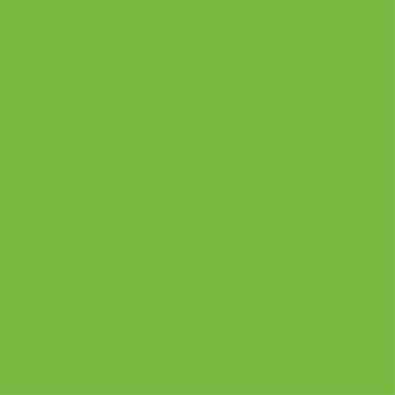 Bedroom vinyl rug green wardrobe cover - TenStickers