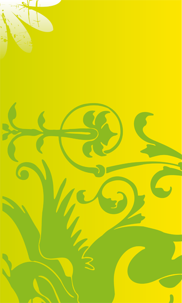 Bedroom vinyl rug green dragon decor vinyl - TenStickers
