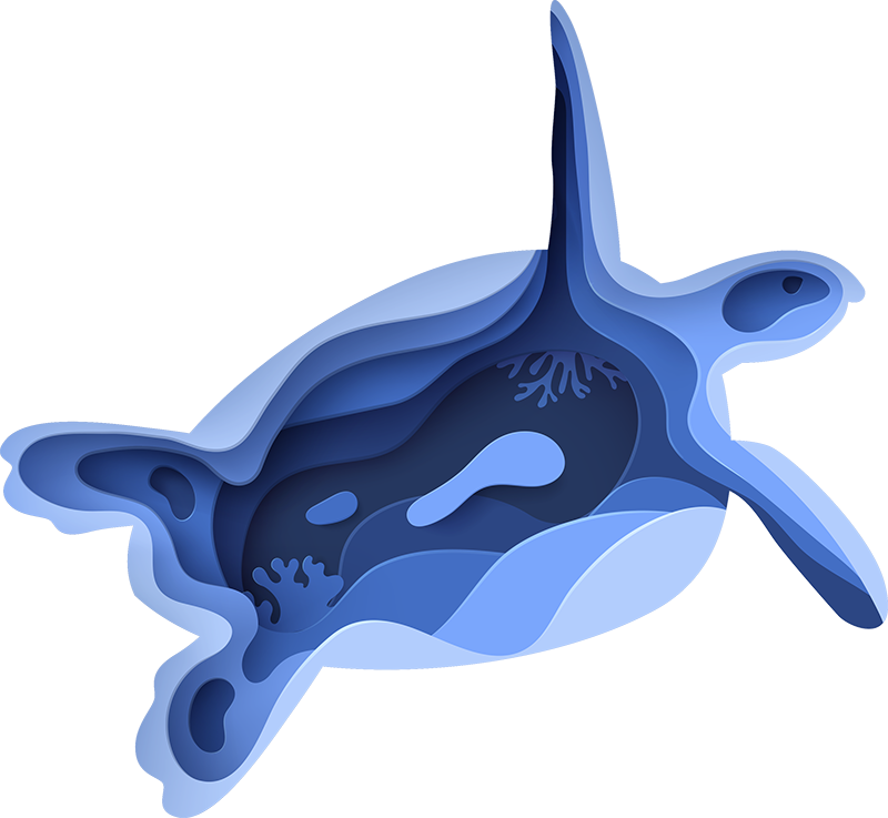 Abstract Turle animal vinyl rug - TenStickers