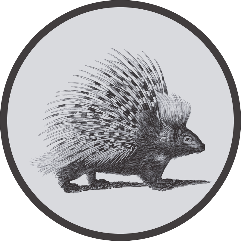 Porcupine art black and white animal vinyl rug - TenStickers