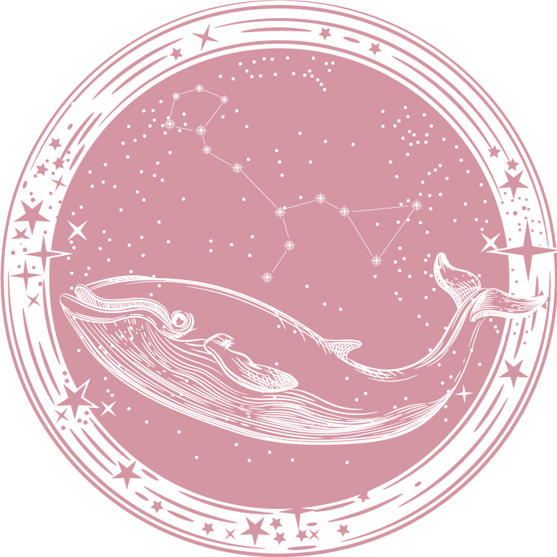 Whale Constellation Circle star vinyl rug - TenStickers