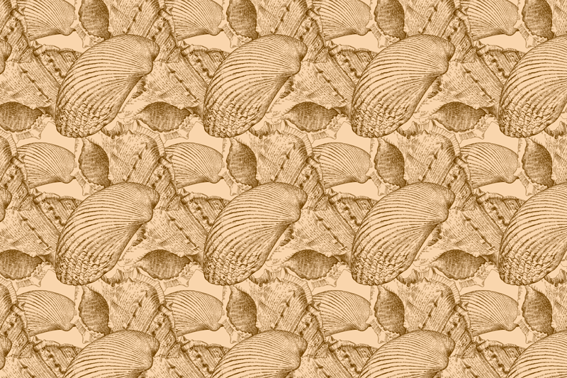 Illustrated Shell Pattern animal vinyl rug - TenStickers