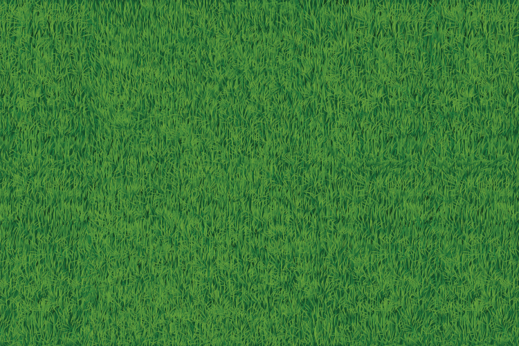 vinyl rug realistic grass nature rug - TenStickers