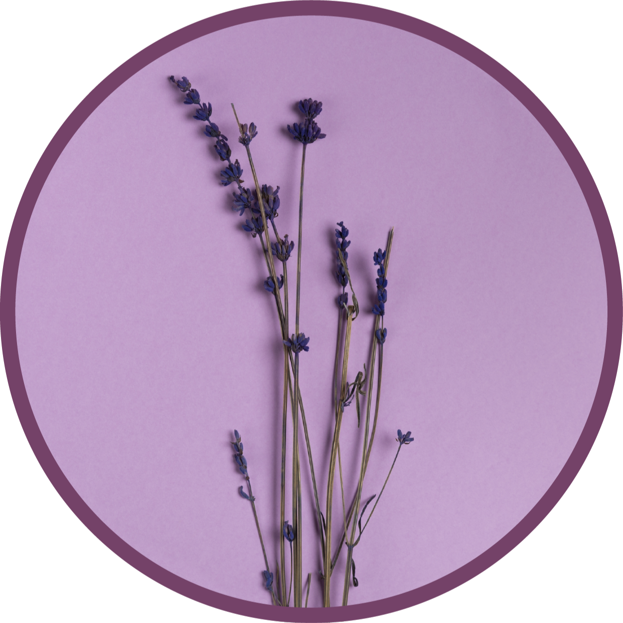 Round simplistic lavender floral rug - TenStickers