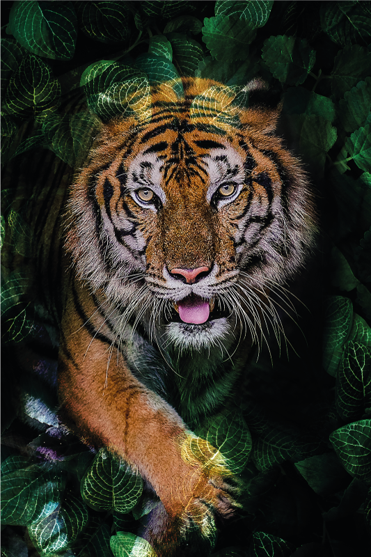 Tiger Foliage Portrayal animal vinyl rug - TenStickers