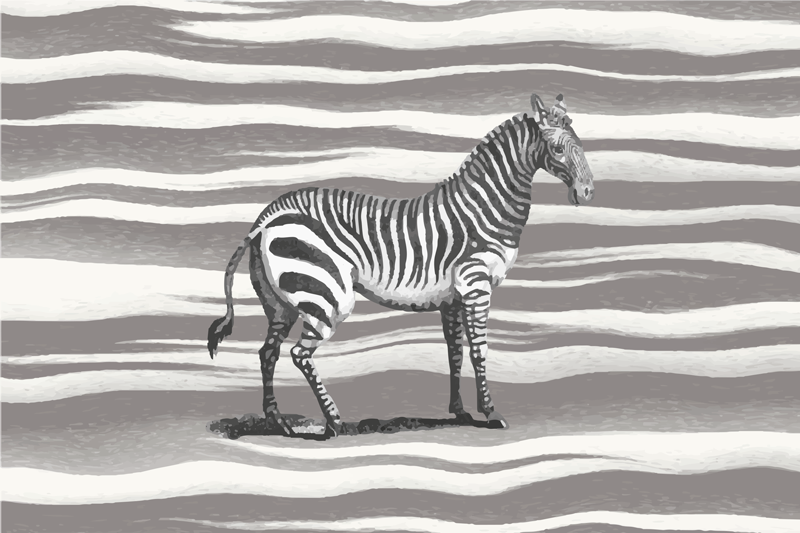 Vintage Zebra Illustration vinyl rug - TenStickers