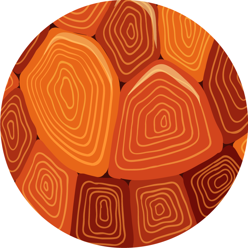 Turtle house print animal print vinyl rug - TenStickers