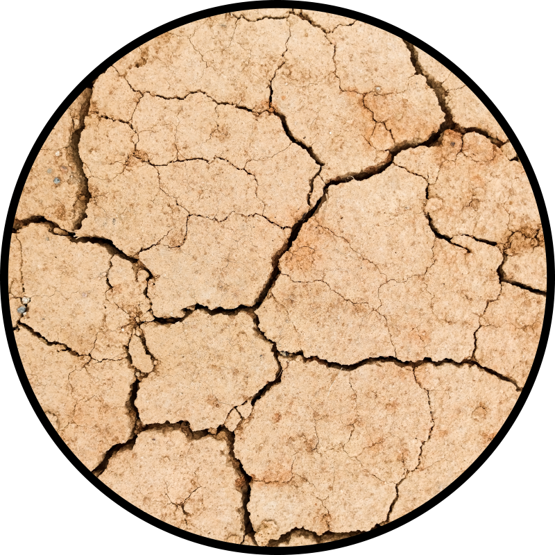 Cracked earth pattern vinyl rug - TenStickers