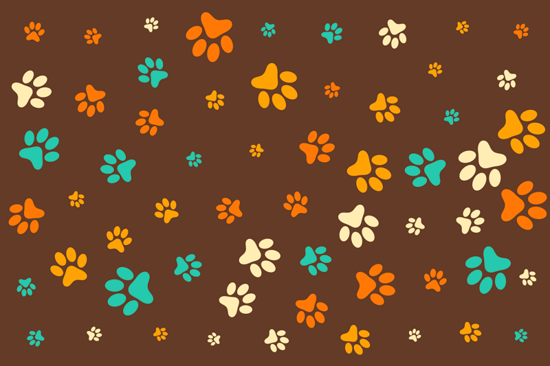 Vibrant Paw Motifs animal print vinyl rug - TenStickers